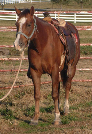 Colored Blue Trouble